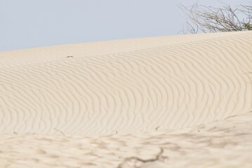 Viana-W&uuml;ste auf Boa Vista Kapverdische Inseln