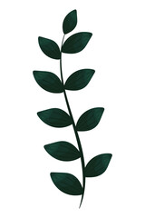 leaves foliage icon