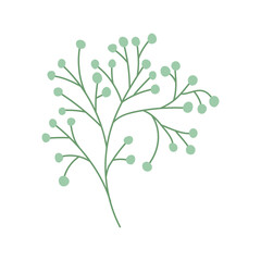 plant branch illustration