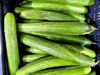 Close up of delicious fresh cucumbers in a supermarket shelf ready to be sold