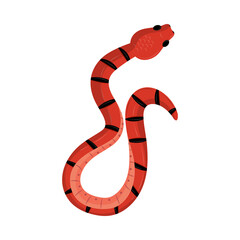 snake on white background