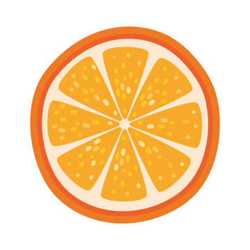 Orange Slice Illustration