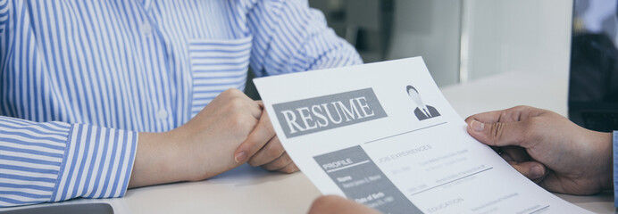 Employer or selection committee is reading the candidate's resume and competence background, Job...