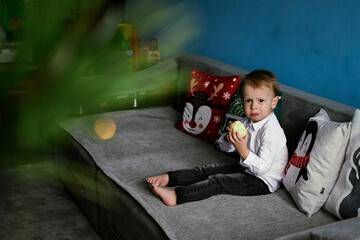 Naklejka premium 2 year old boy in a white shirt and black jeans eats an apple in his hands, sits blue wall, Christmas tree holiday