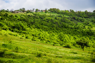 Fototapeta na wymiar a forest on hills and ravine landscape near the village in Ukraine