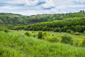 Fototapeta na wymiar a forest on hills and ravine landscape, Ukraine
