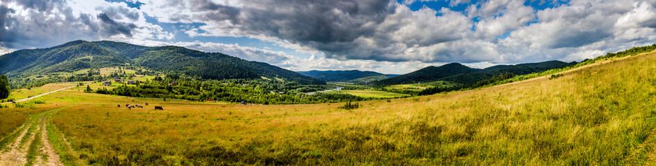Fototapeta na wymiar Carpathian rural landscape, Skole Beskids National Nature Park, Ukraine