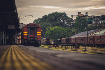 Obraz premium Sri Lanka Beauty