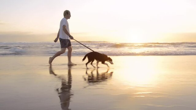 4k video footage of a man going for a walk with his dog on the beach at sunset