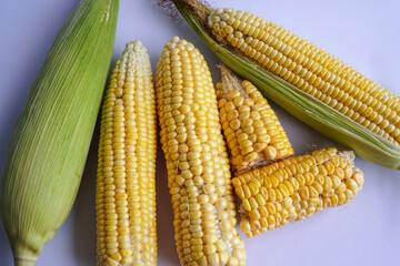 Fresh corn or maize isolated in white background.