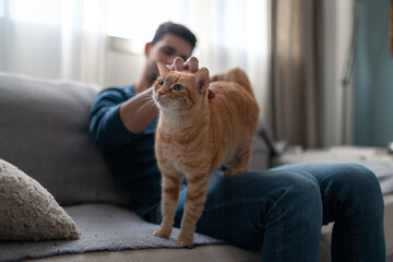 young man plays with a brown tabby cat in the living room