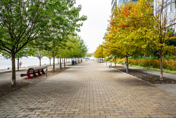Empty cobbled waterfront path lined with trees on a cloudy autumn day. Autumn colours. Toronto, ON, Canada. - obrazy, fototapety, plakaty