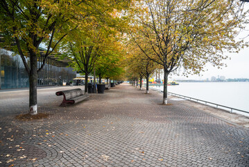 Cobbled lakeside footpath lined with trees and benches on a foggy autumn day. Autumn colours. Toronto, ON, Canada.