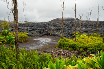 Lava field that buried the homes of the Leilani Estates during the volcanic eruption of the Fissure...