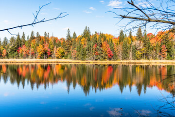 Lakeside autumn trees reflecting in water on a sunny day. Algonquin Park, ON, Canada.
