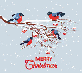 Fototapeta na wymiar Bullfinch sitting on snow-covered branch of mountain ash. Christmas and New Year design greeting cards
