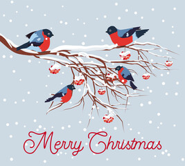 Fototapeta na wymiar Bullfinch sitting on snow-covered branch of mountain ash. Christmas and New Year design greeting cards