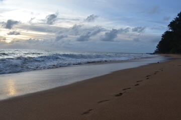 Thailand - Strand - Wasser - Ocean - Palmen