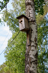 wooden birdhouse on a tree in the forest and park