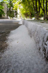 Poplar fluff lies along the sidewalk on the road and flies through the air. Selective soft focus. Strong allergen, the concept of a health hazard.
