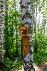 wooden birdhouse on a tree in the forest and park