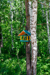wooden birdhouse on a tree in the forest and park
