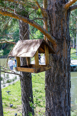 wooden birdhouse on a tree in the forest and park