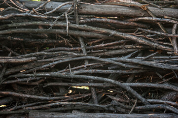 Rustic fence made with tree branches
