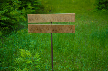 Wooden signage in the forest for direction