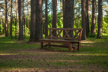 bench in a public park