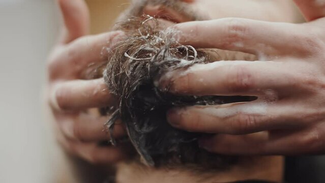 Barber washes his beard with shampoo to client, close-up. Hands soap the beard of a man, work in a barbershop