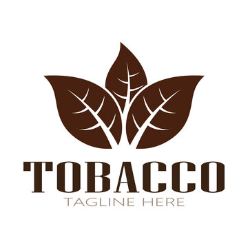 tobacco virus disease Tobacco Mosaic Disease (TMV)