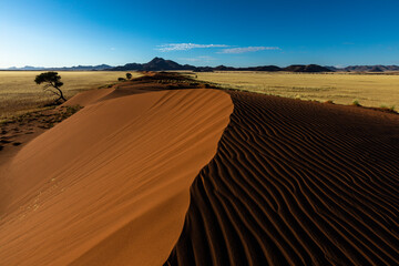 Fototapeta na wymiar Wind swept patterns on red sand dune in early morning light