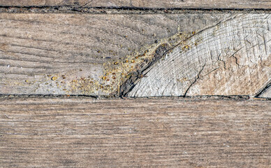 Texture of old knotted wood background. Resin released from wood. Close-up.