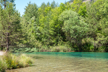 Alberi verdi si riflettono nella limpida acqua verde del lago