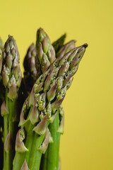 Bunch of fresh green asparagus close up on a yellow background.