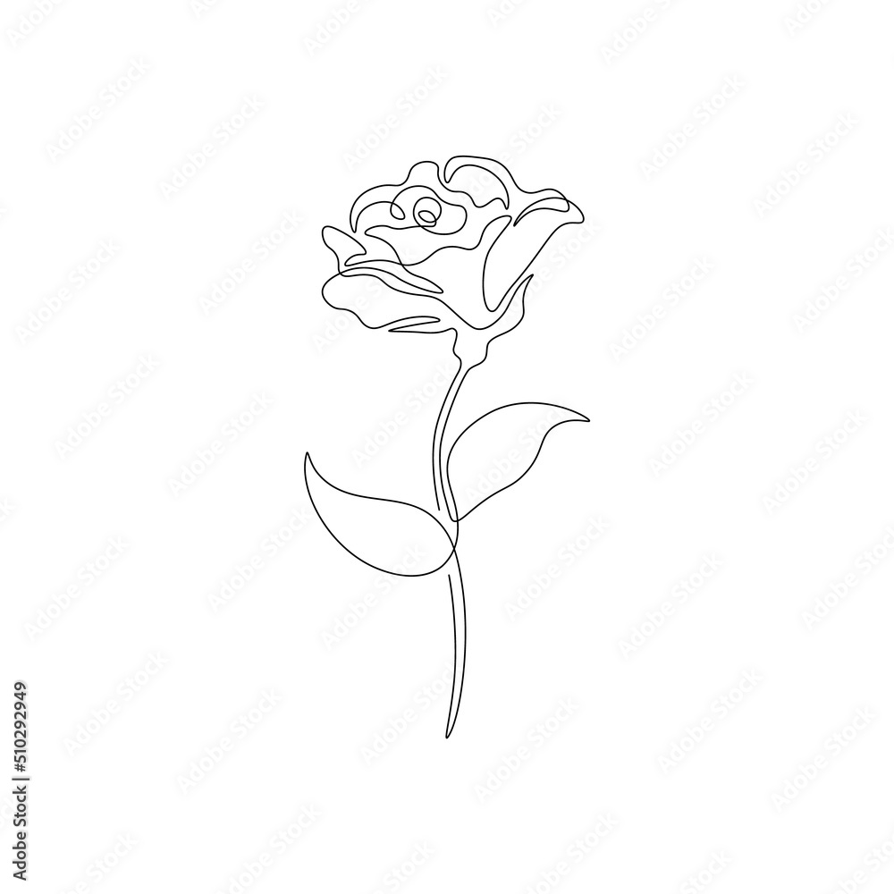 Wall mural Continuous one line rose flower. Modern floral design, hand drawn blossomed art for print, tattoo. Vector graphic illustrations