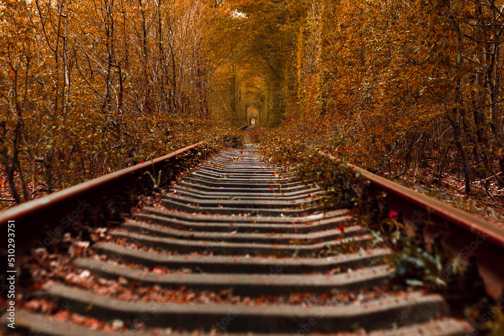 Poster love tunnel in autumn. a railway in the autumn forest.