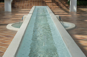 elongated fountain inside a greenhouse