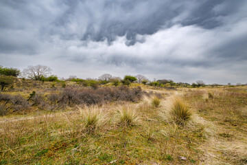 Amsterdamse Waterleidingduinen