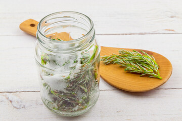 young pine shoots in develops sugar-pine syrup