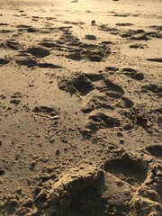 Spuren im Sand