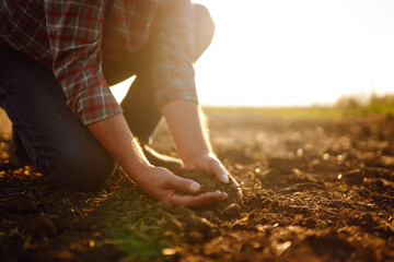 Hand of expert farmer collect soil.  Farmer is checking soil quality before sowing. Agriculture,...