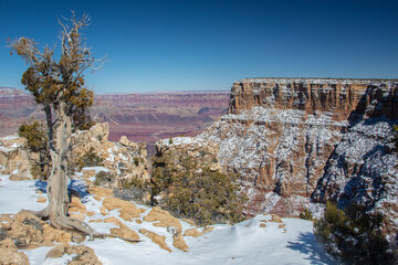 Fototapeta na wymiar Grand Canyon Winter