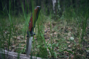 Tactical knife for survival and protection difficult conditions stuck into trunk tree in forest.