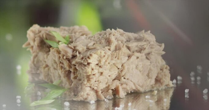 Tuna seasoned with salt and green onions