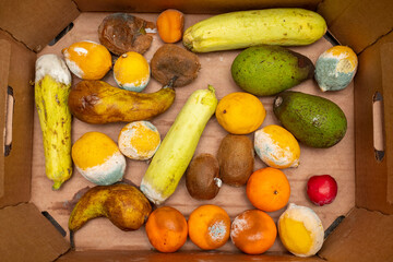 Garbage fruits