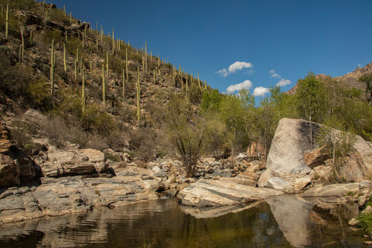 Sabino Canyon, Tucson, Arizona