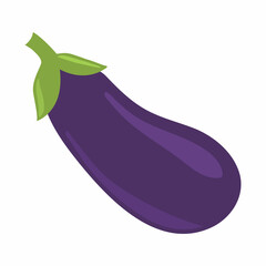 flat violet eggplant icon vector