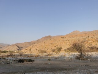 Nature in Oman Nizwa
